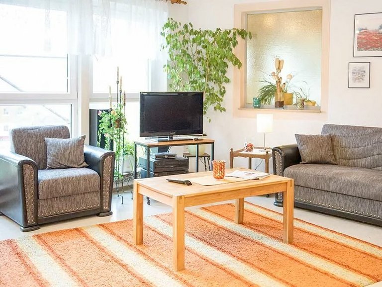 helles Fernsehzimmer mit Zierpflanzen, Sofa, Tisch und Sessel