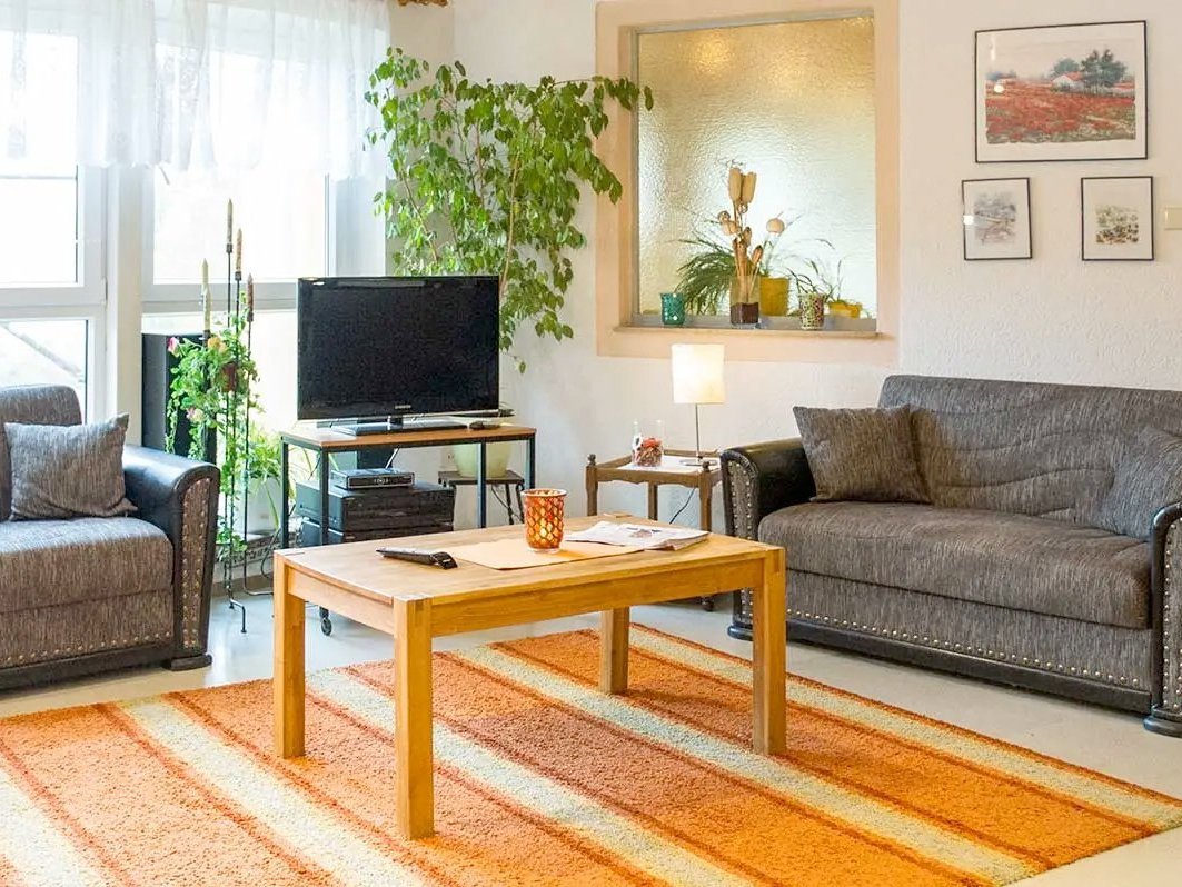 helles Fernsehzimmer mit Zierpflanzen, Sofa, Tisch und Sessel