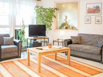 helles Fernsehzimmer mit Zierpflanzen, Sofa, Tisch und Sessel