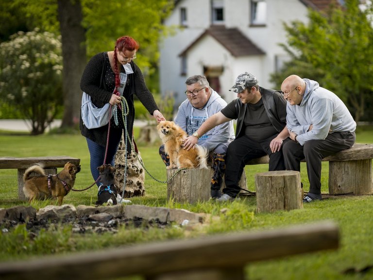 Drei Männer und eine Frau spielen an einer kalten Lagerfeuerstelle mit drei kleinen Hunden.